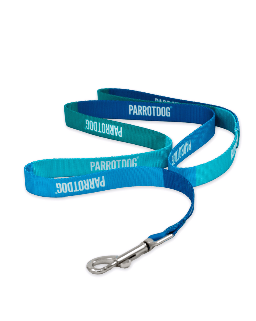 Dog Lead | Greyhound